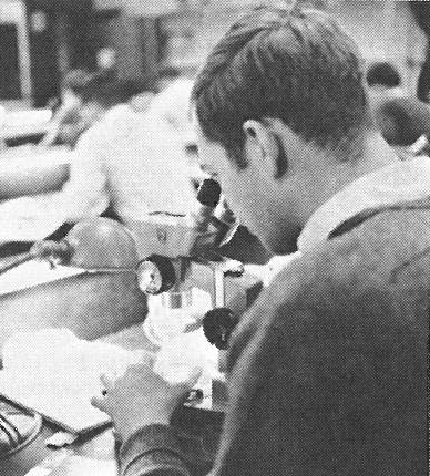Student looking in microscope in lab