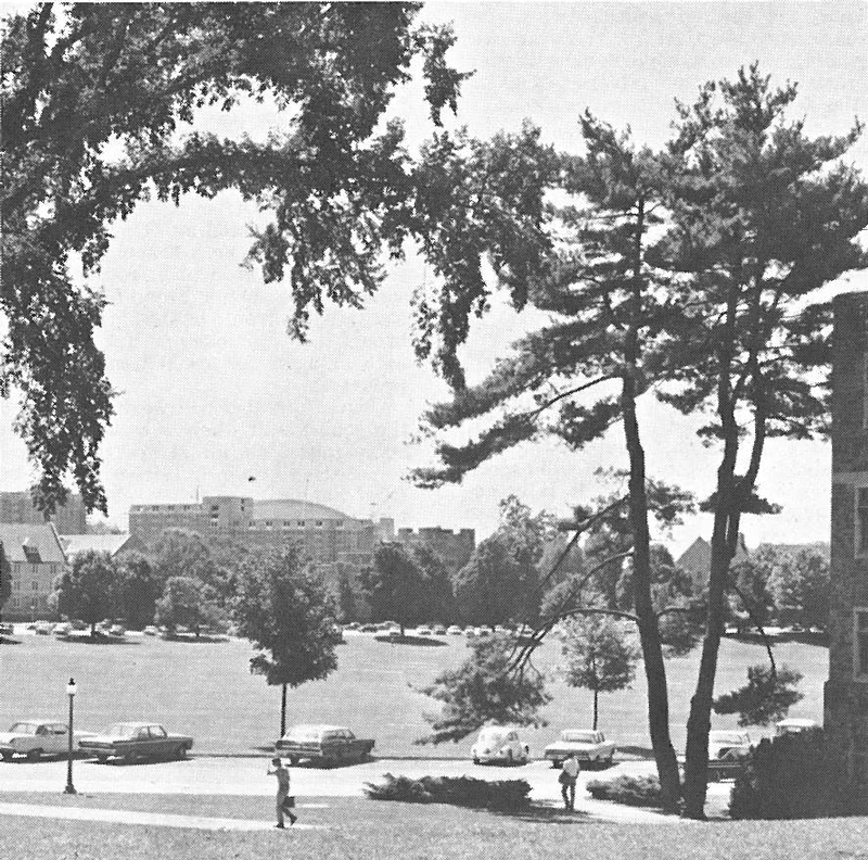 View of Driil Field from McBryde hill