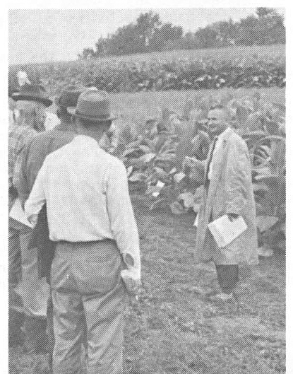 checking tobacco crop