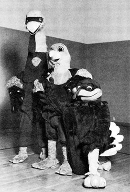 HokieBird Costume Evolution